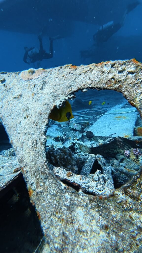 Porthole on a Red Sea wreck