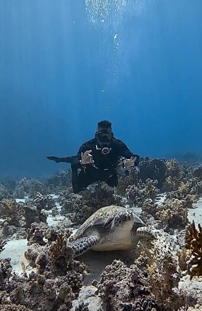 Diver kneeling on the reef beside a turtle