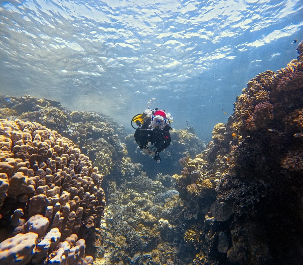 Diver swimming between coral heads